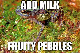 Toad Meme