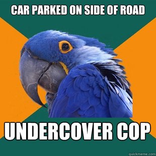 Paranoid Parrot