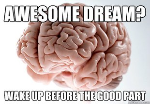 Scumbag Brain