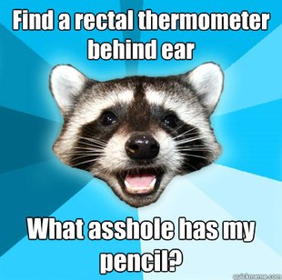 Lame Pun Coon