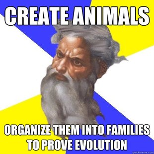 Advice God