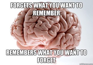 Scumbag Brain