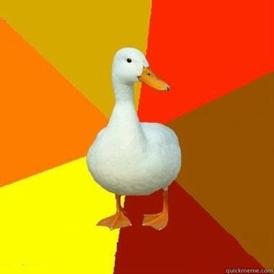 Tech Impaired Duck