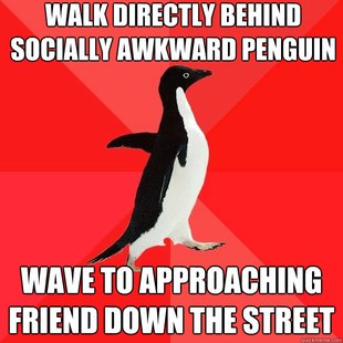 Socially Awesome Penguin