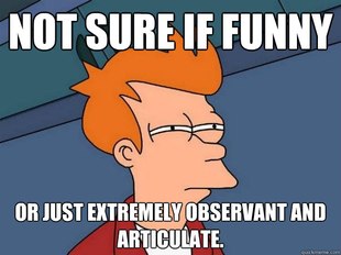 Futurama Fry