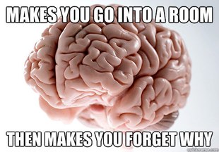Scumbag Brain