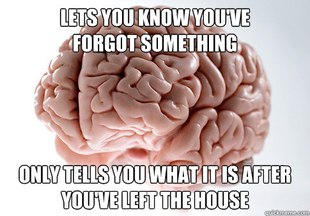 Scumbag Brain