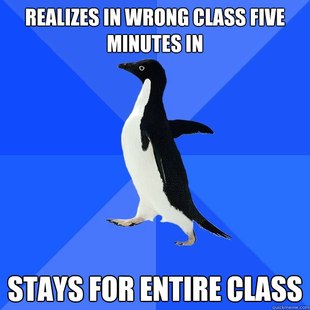 Socially Awkward Penguin