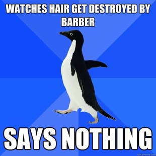 Socially Awkward Penguin
