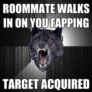 Insanity Wolf