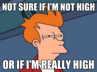 Futurama Fry