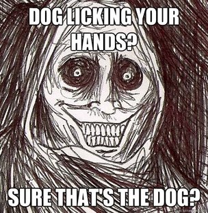 Horrifying Houseguest