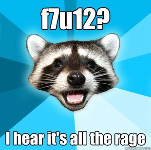 Lame Pun Coon