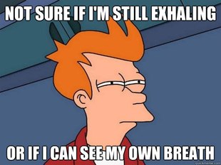 Futurama Fry