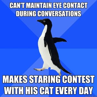 Socially Awkward Penguin