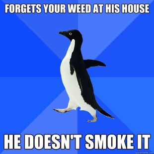 Socially Awkward Penguin