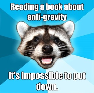 Lame Pun Coon