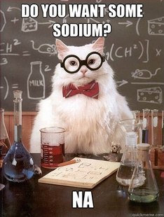Chemistry Cat