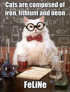Chemistry Cat
