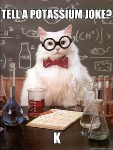 Chemistry Cat