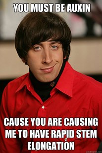 Pickup Line Scientist