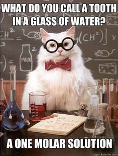 Chemistry Cat