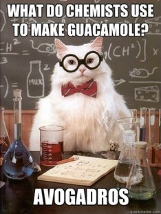 Chemistry Cat