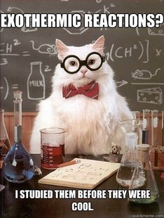 Chemistry Cat