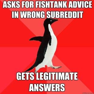 Socially Awesome Penguin
