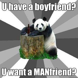 Pickup-Line Panda