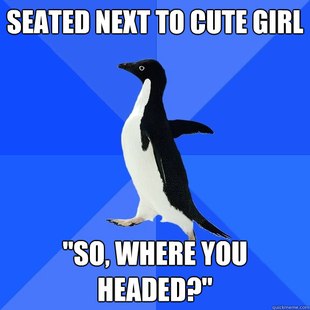 Socially Awkward Penguin