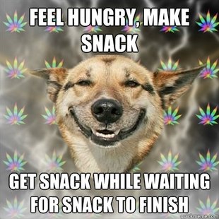 Stoner Dog