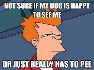 Futurama Fry