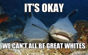 Compassionate Shark Friend