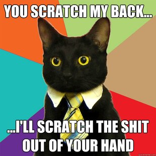 Business Cat