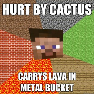 Minecraft