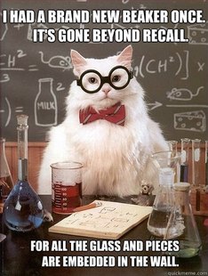 Chemistry Cat