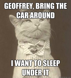 Aristocat