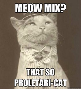 Aristocat