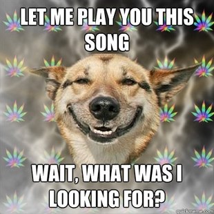 Stoner Dog