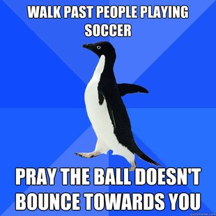 Socially Awkward Penguin