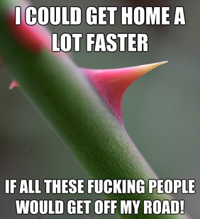 Self Important Prick
