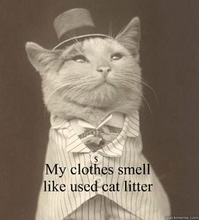 Aristocat