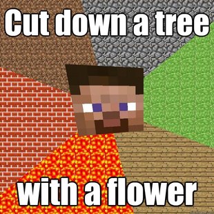 Minecraft