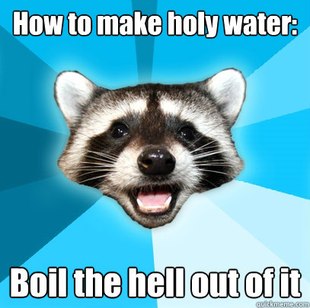 Lame Pun Coon