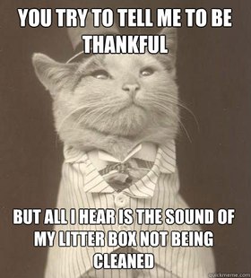 Aristocat