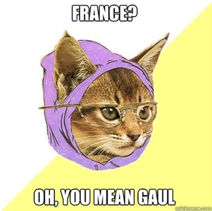 Hipster Kitty