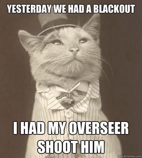 Aristocat