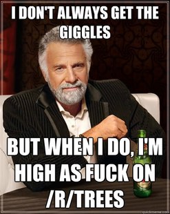 The Most Interesting Man In The World