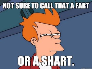 Futurama Fry